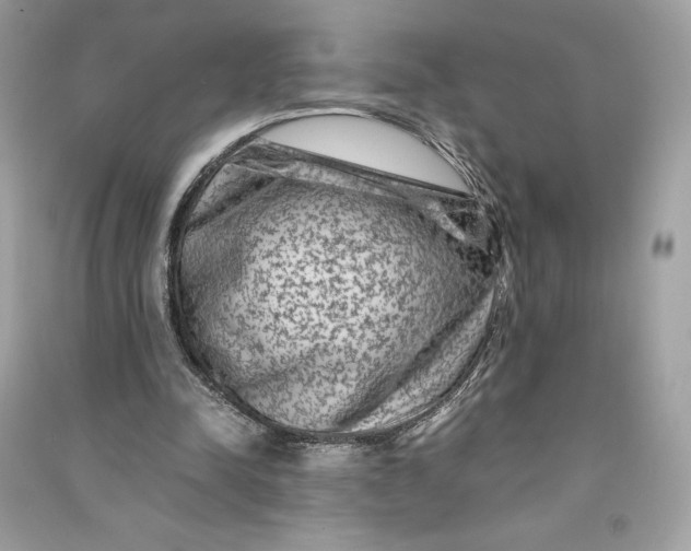 X0000090760342200708101752