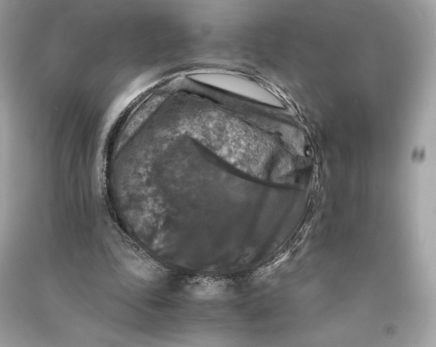 X0000090760343200708101752