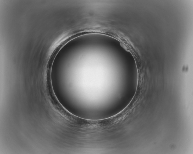 X0000090760344200708101752