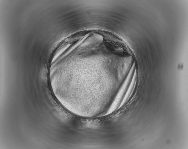 X0000090760345200708101752