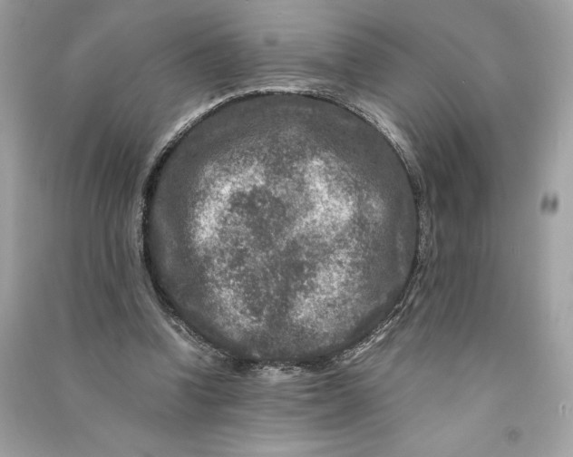 X0000090760346200708101752