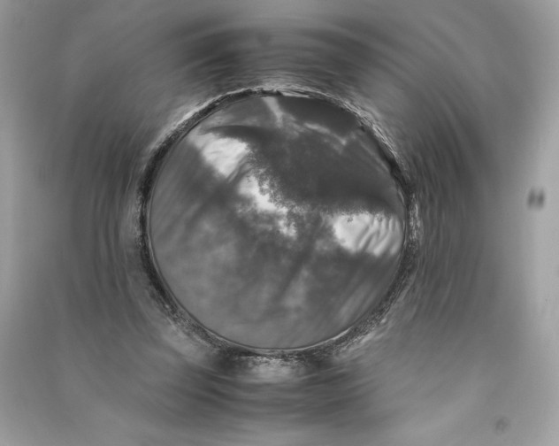 X0000090760347200708101752