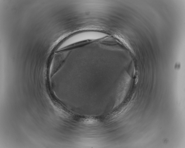 X0000090760348200708101752