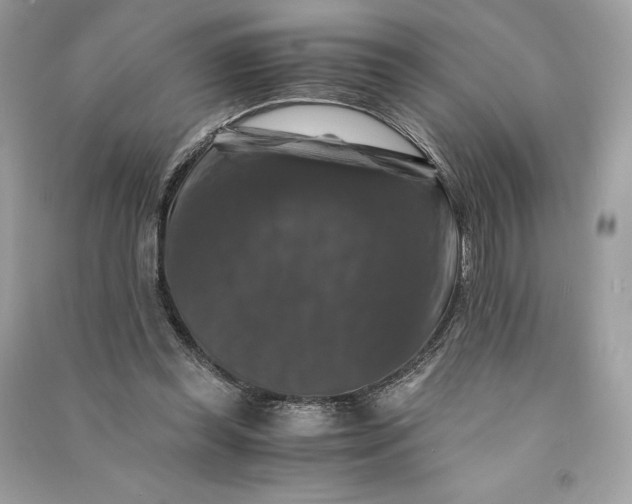 X0000090760349200708101752