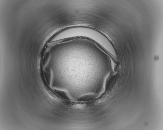 X0000090760350200708101752