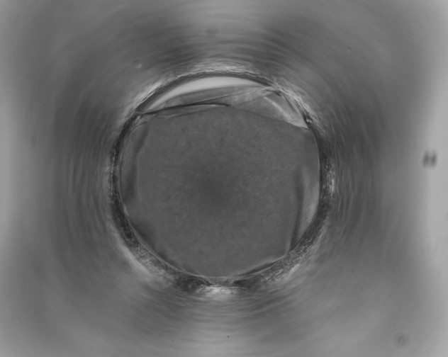 X0000090760352200708101752