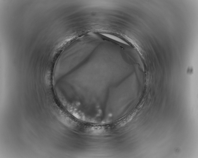 X0000090760353200708101752