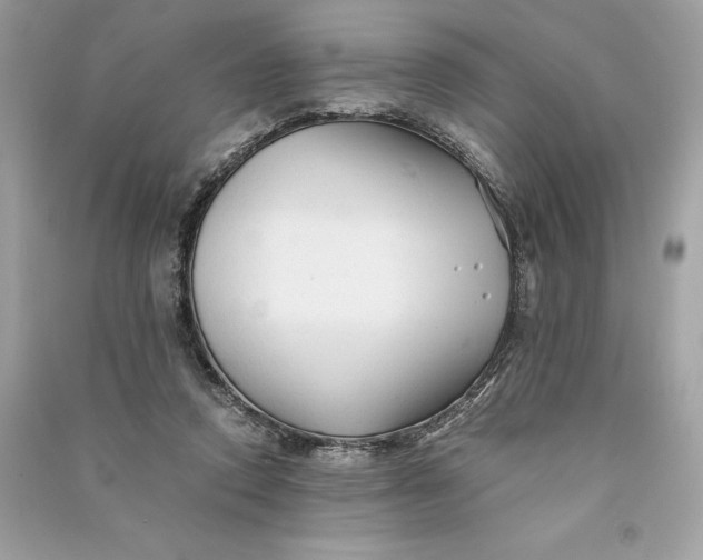 X0000090760354200708101752