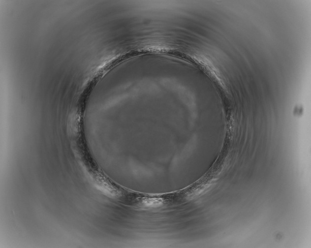 X0000090760355200708101752