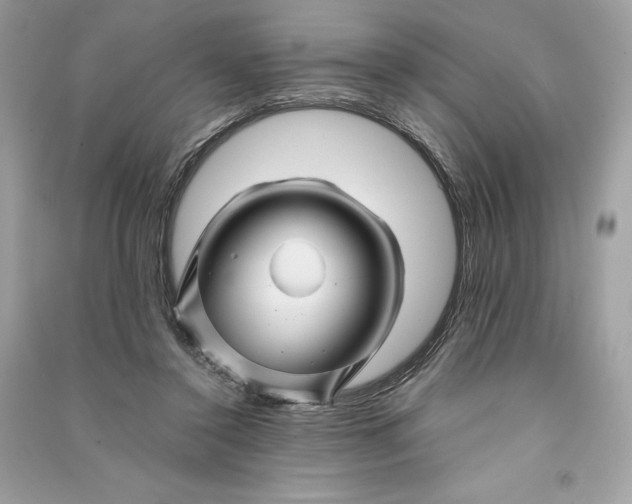 X0000090760356200708101752