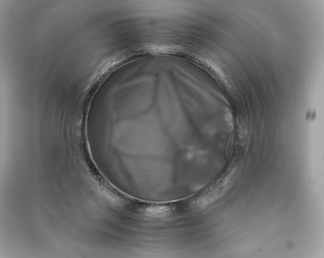 X0000090760357200708101753