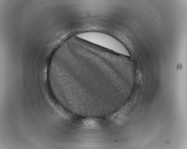 X0000090760358200708101753