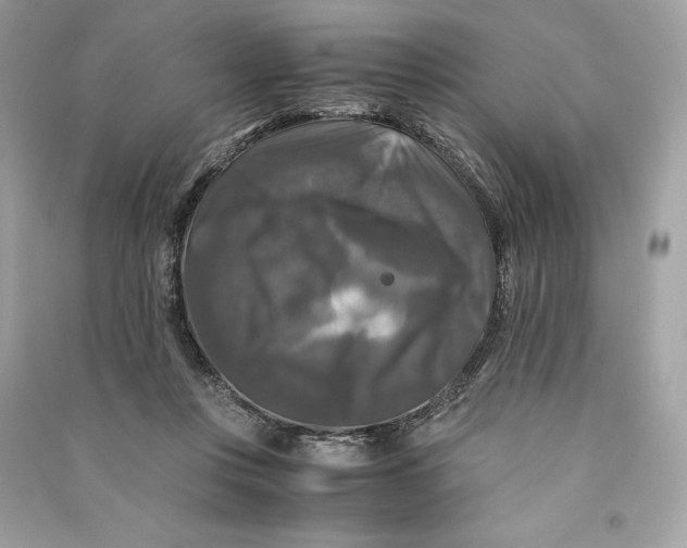 X0000090760359200708101753