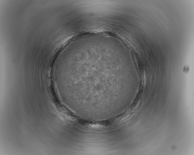 X0000090760360200708101753