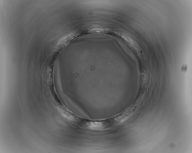 X0000090760361200708101753