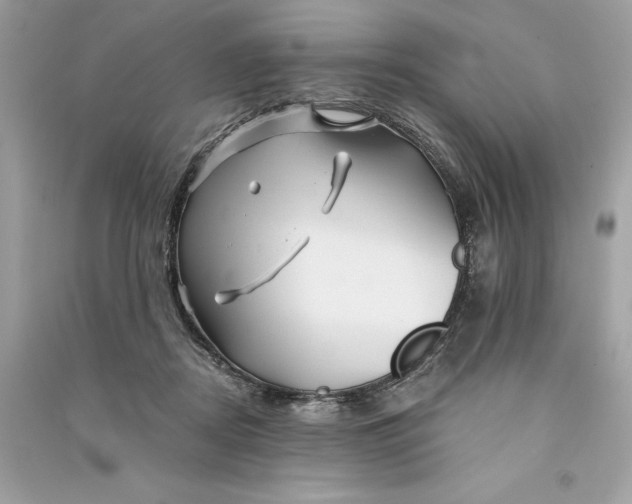 X0000090760362200708101753