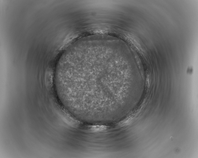 X0000090760363200708101753