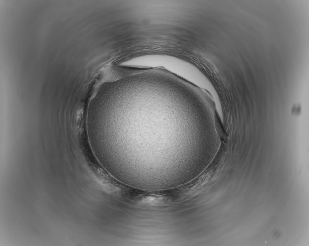 X0000090760364200708101753