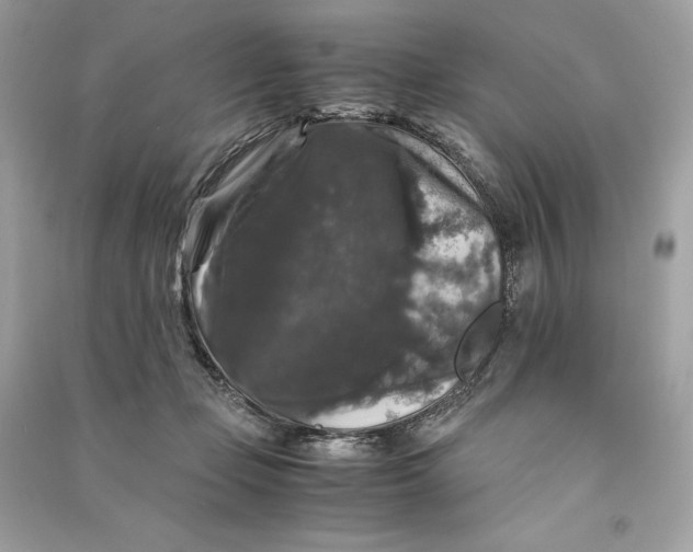 X0000090760365200708101753