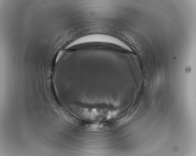 X0000090760366200708101753