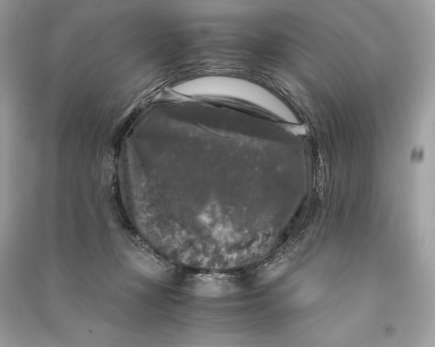 X0000090760367200708101753