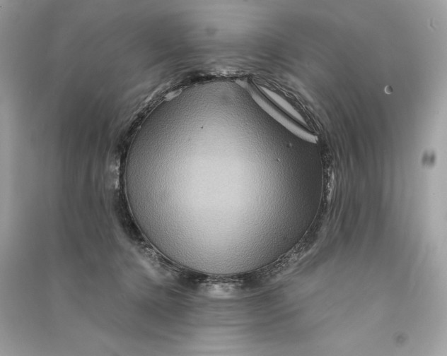 X0000090760368200708101753