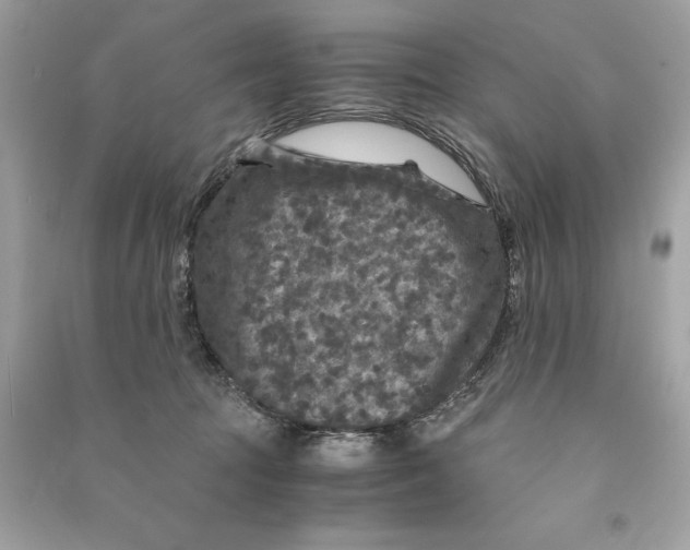 X0000090760369200708101753