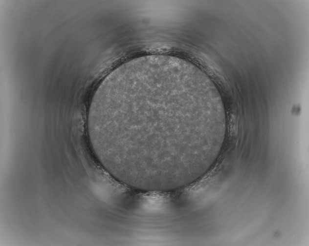 X0000090760370200708101753