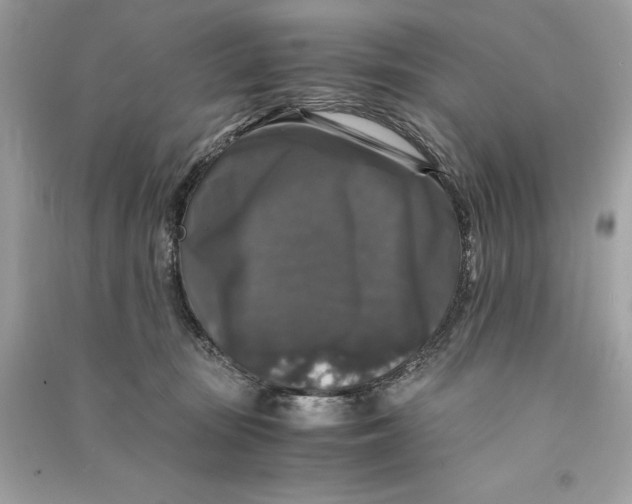 X0000090760371200708101753