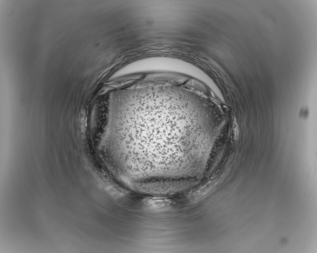 X0000090760372200708101753