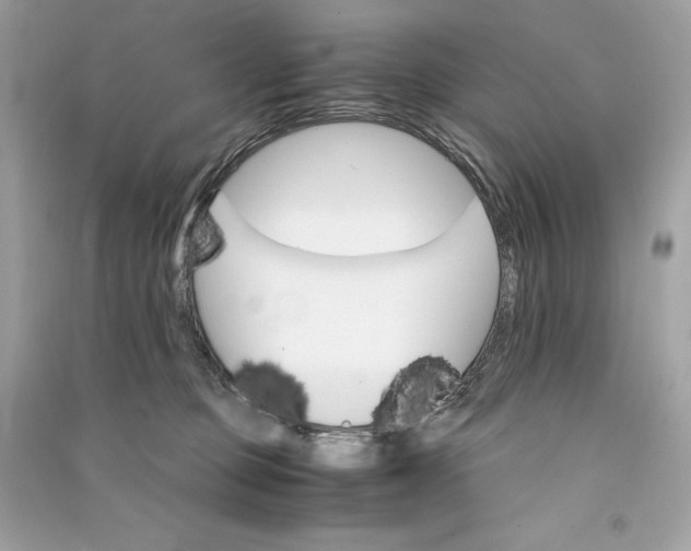 X0000090760373200708101753