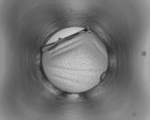 X0000090760374200708101753