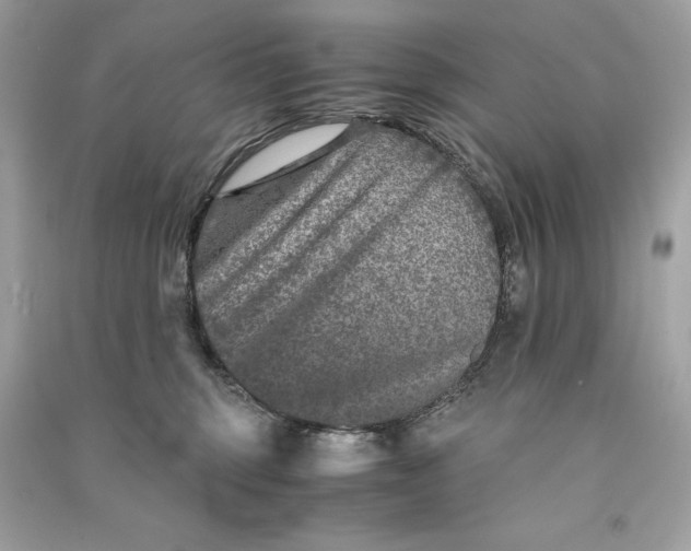 X0000090760375200708101753