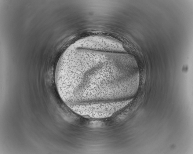 X0000090760376200708101753