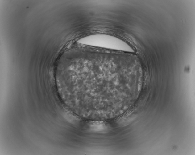 X0000090760377200708101753