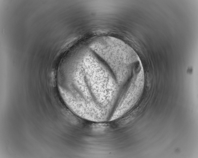 X0000090760378200708101753