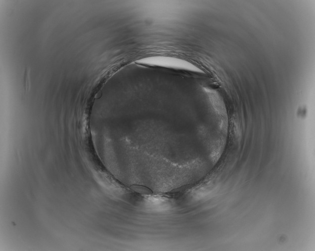 X0000090760380200708101753