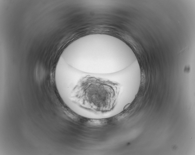 X0000090760381200708101753