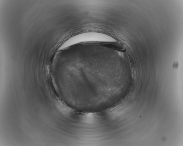 X0000090760382200708101753