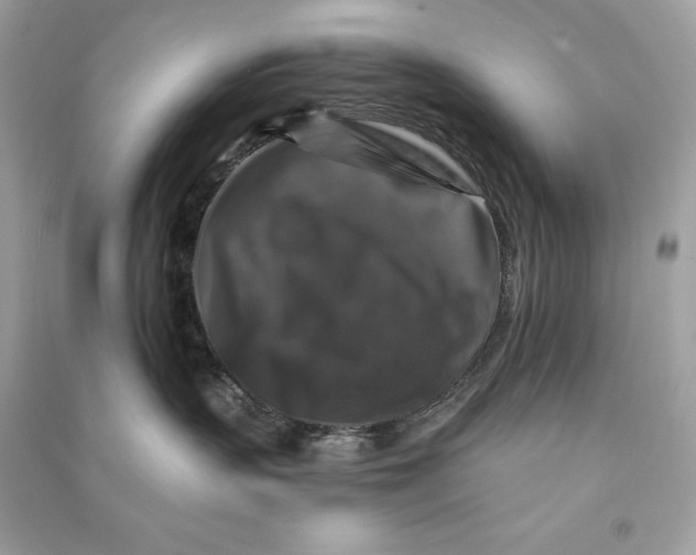 X0000090760383200708101753