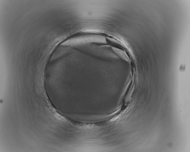 X0000090760385200708101752