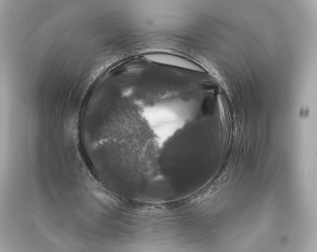 X0000090760386200708101752