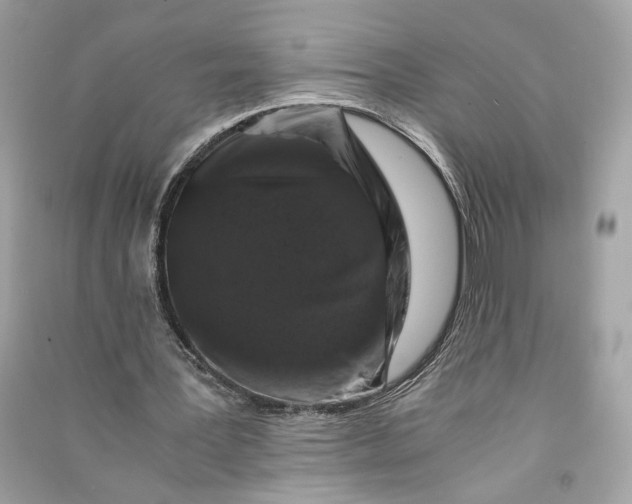 X0000090760387200708101752