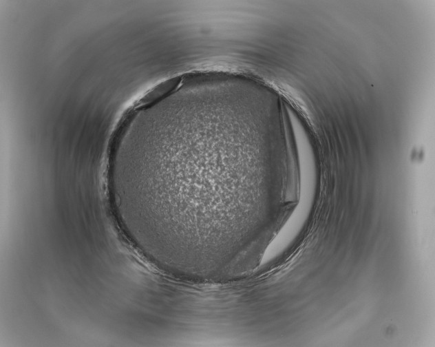 X0000090760388200708101752