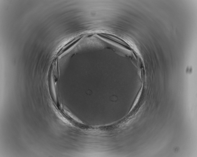 X0000090760389200708101752