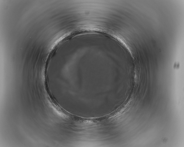 X0000090760390200708101752