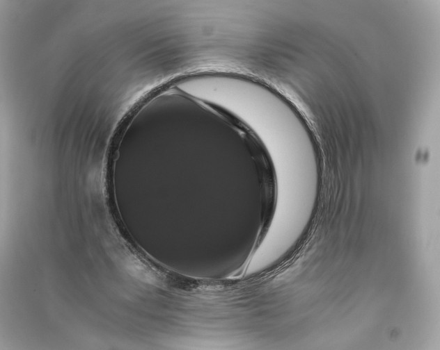 X0000090760391200708101752