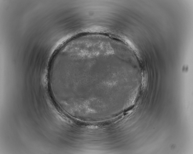 X0000090760392200708101752