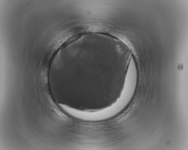 X0000090760393200708101752