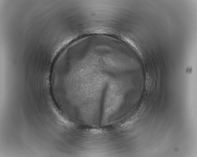 X0000090760394200708101752